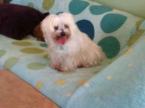 Trudy