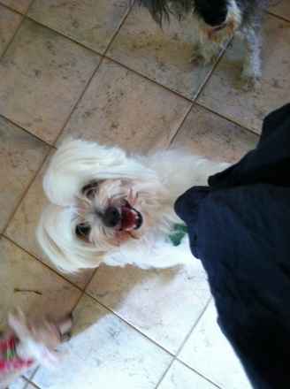 Trudy