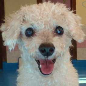 Tallulah