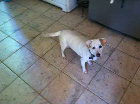 Casper