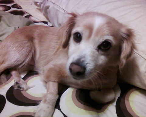 Timminy