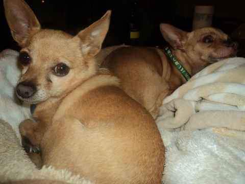 Kilo and Carmela