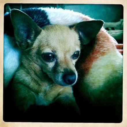 Kilo and Carmela