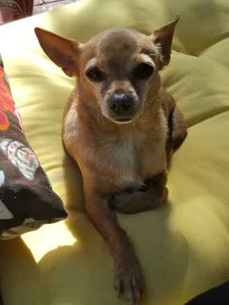 Kilo and Carmela