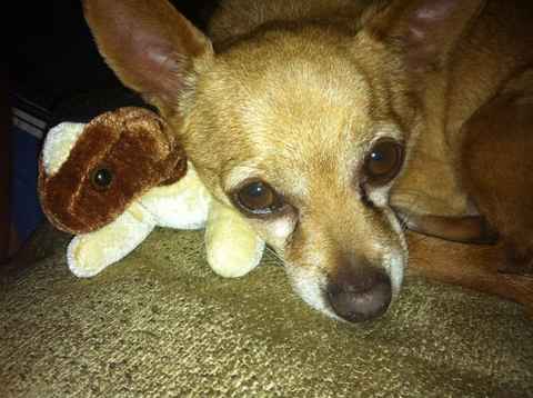Kilo and Carmela