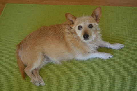 Mable