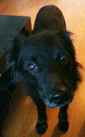 Ginny 2