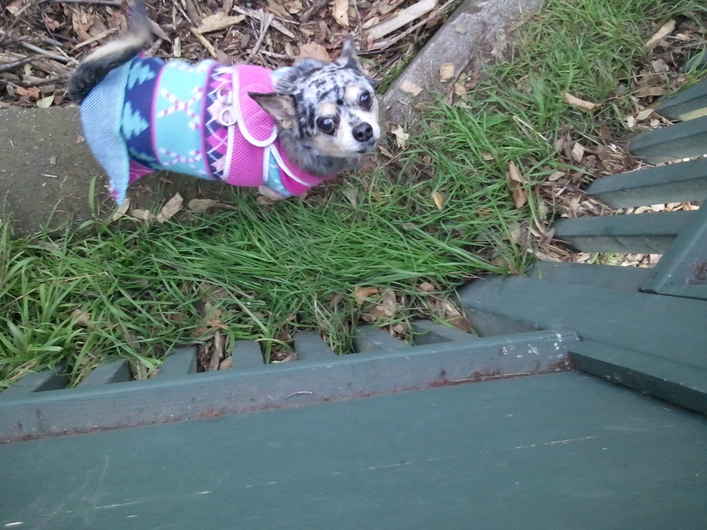 Tilly 2