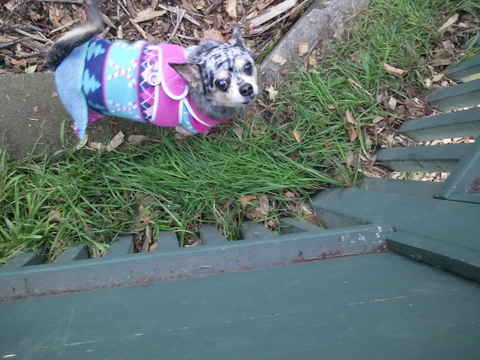 Tilly 2