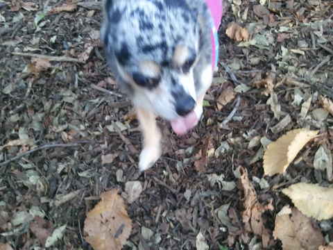 Tilly 2