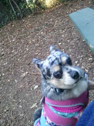 Tilly 2