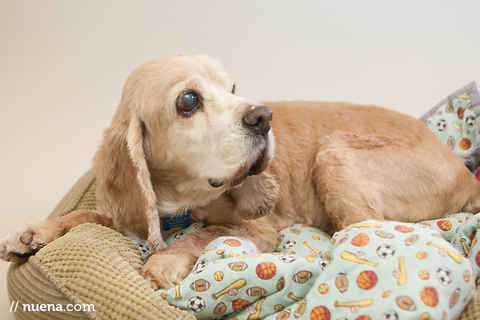 Sammy 5