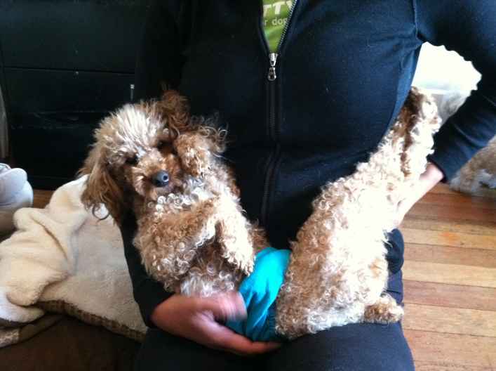 Lenny 2