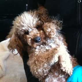 Lenny 2