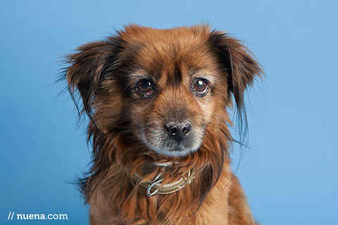Bailey 7