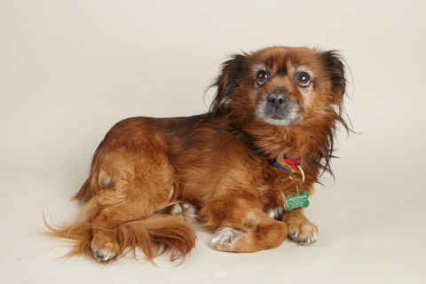 Bailey 7