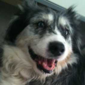 Miss Trudy