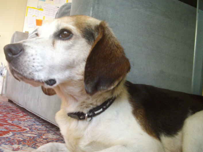 George 3