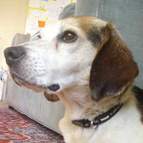 George 3