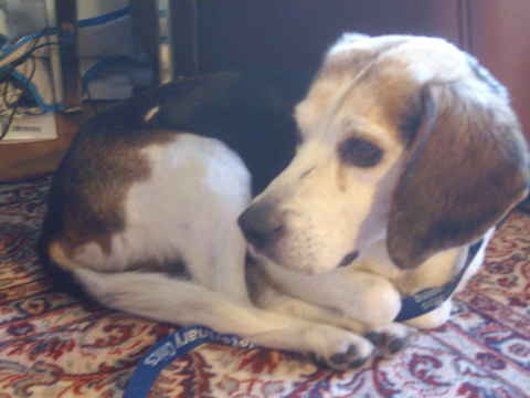 George 3