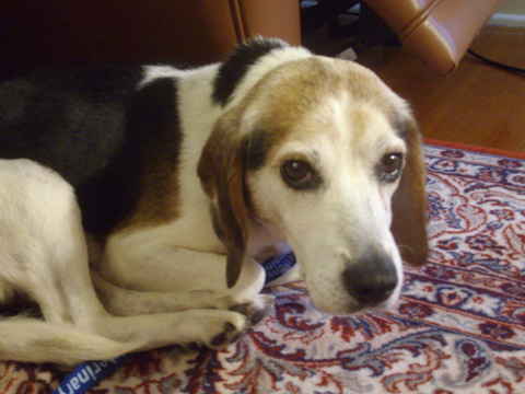 George 3
