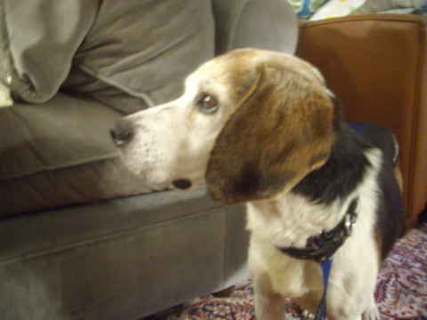 George 3
