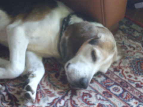 George 3
