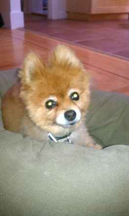 Jazzy 2