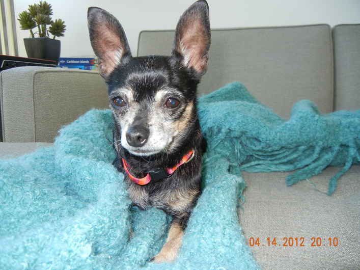 Esther 2