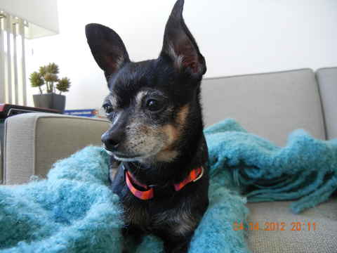 Esther 2