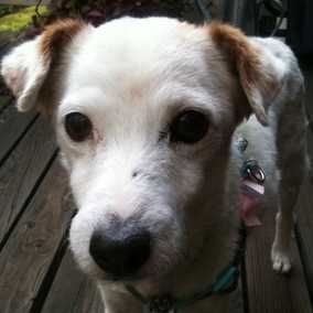 Lola Belle
