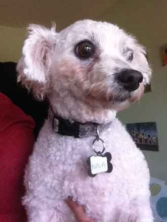 Nala 2