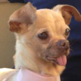 Lola 3
