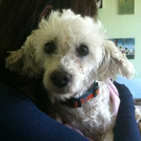 Darla 3