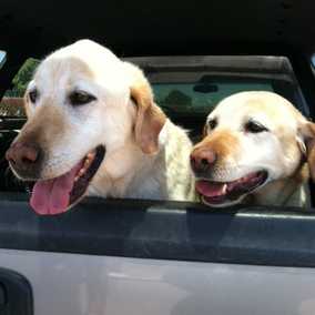 Rocco and Mia