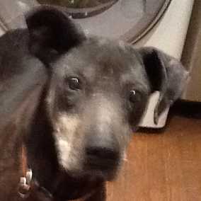 Gladys 2
