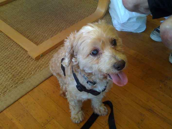 Henry