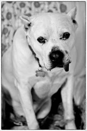 Winston