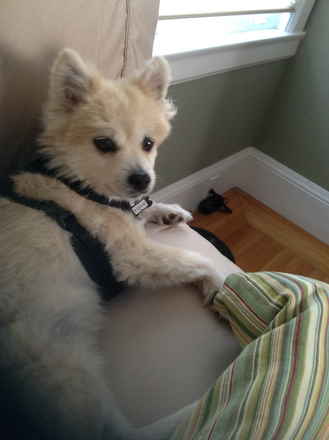 Lizzy