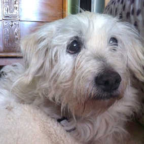 Margo
