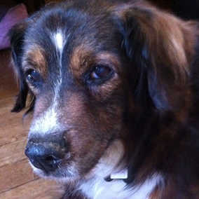 Spanky
