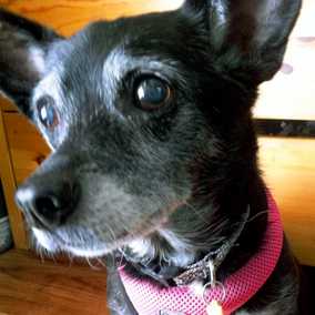 Betty
