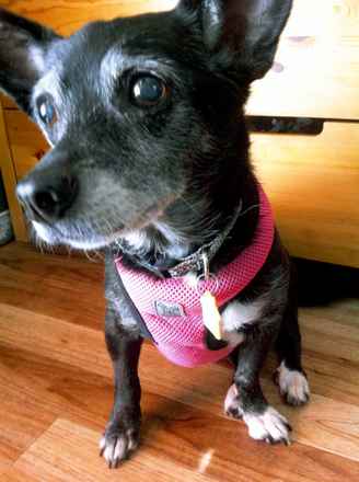 Betty