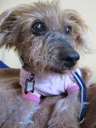 Matilda