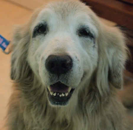 Abby