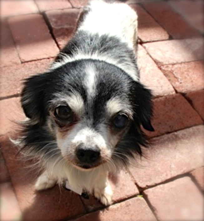 Gus