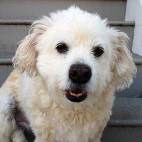 Spike