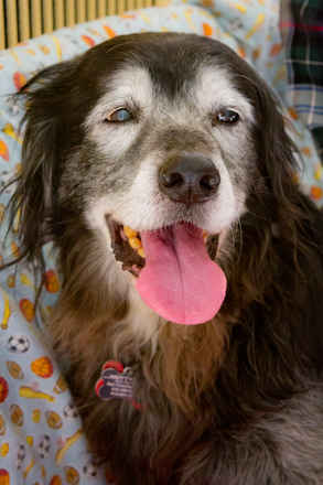 Baxter