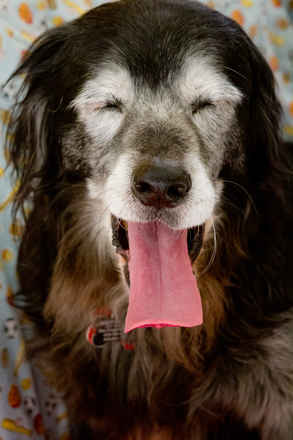 Baxter
