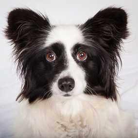 Billie
